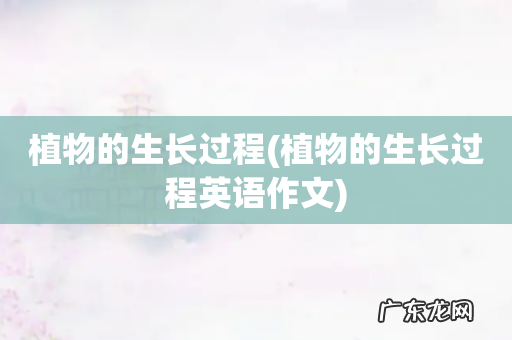 植物的生长过程英语作文 植物的生长过程