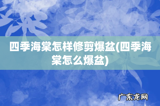 四季海棠怎么爆盆 四季海棠怎样修剪爆盆
