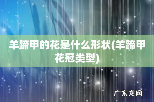 羊蹄甲花冠类型 羊蹄甲的花是什么形状
