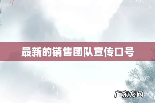 最新的销售团队宣传口号