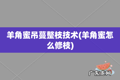 羊角蜜怎么修枝 羊角蜜吊蔓整枝技术