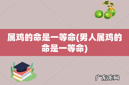 男人属鸡的命是一等命 属鸡的命是一等命