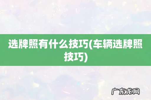 车辆选牌照技巧 选牌照有什么技巧