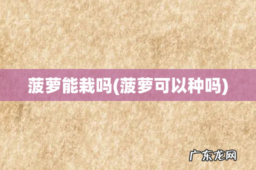 菠萝可以种吗 菠萝能栽吗