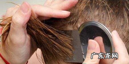 阴虱卵怎么有效清除 阴虱卵怎么消除