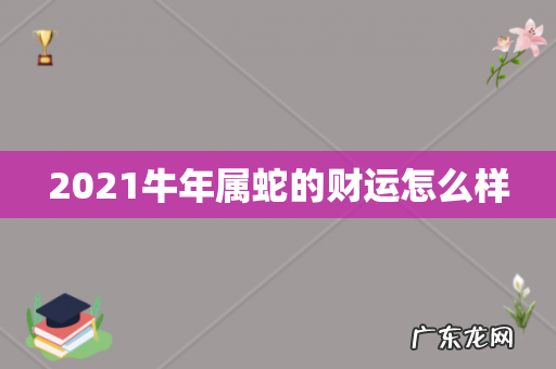 2021牛年属蛇的财运怎么样