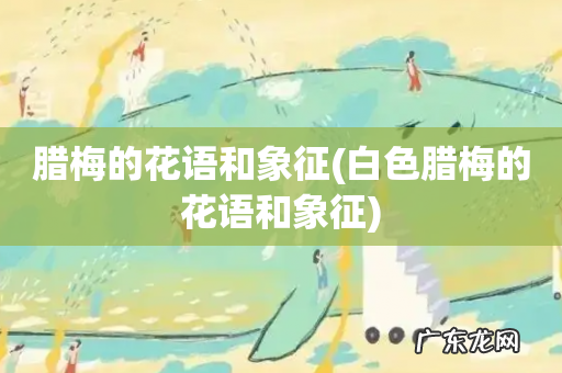 白色腊梅的花语和象征 腊梅的花语和象征