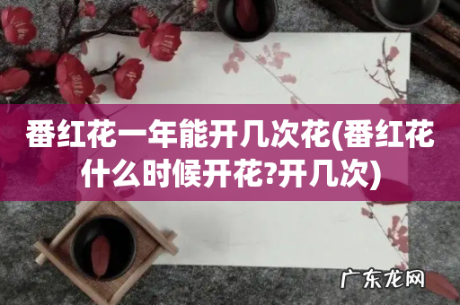 番红花什么时候开花?开几次 番红花一年能开几次花
