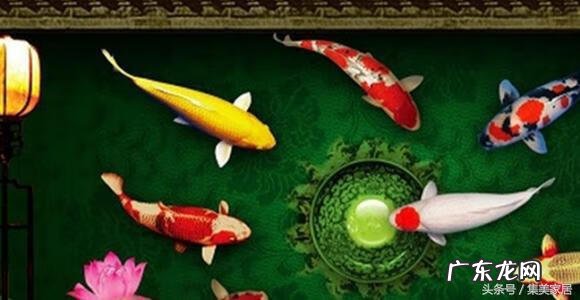 窗外蜘蛛结网的风水 窗口有蜘蛛网风水