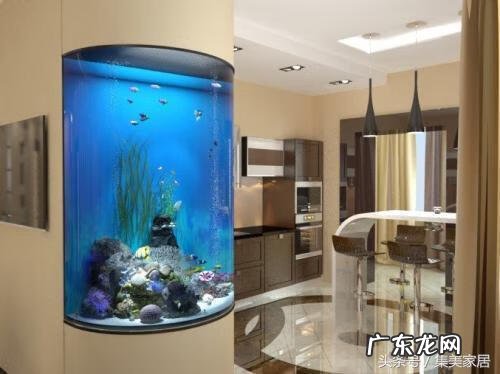 窗外蜘蛛结网的风水 窗口有蜘蛛网风水