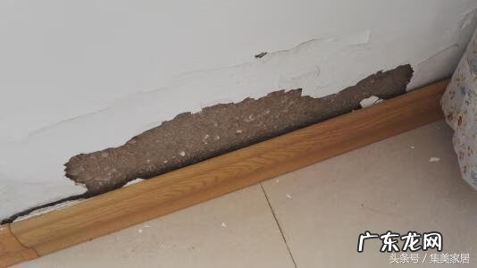 窗外蜘蛛结网的风水 窗口有蜘蛛网风水