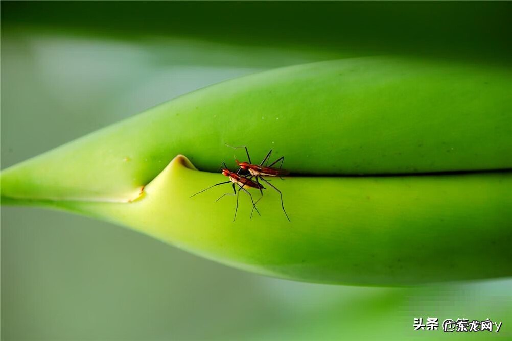 常吐口水的人运气 经常吐口水风水学来说好吗