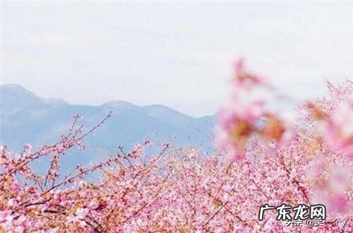 常吐口水的人运气 经常吐口水风水学来说好吗