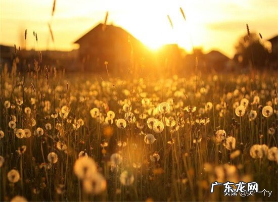 常吐口水的人运气 经常吐口水风水学来说好吗