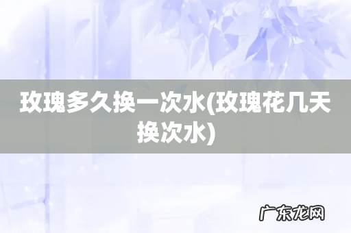 玫瑰花几天换次水 玫瑰多久换一次水