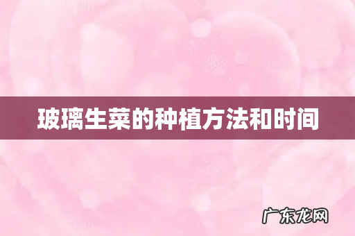 玻璃生菜的种植方法和时间