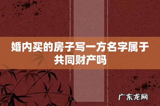 婚内买的房子写一方名字属于共同财产吗