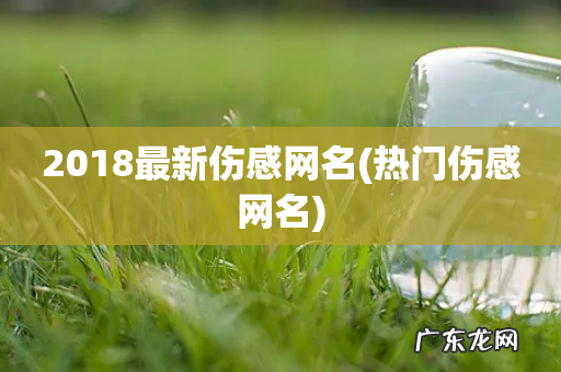 热门伤感网名 2018最新伤感网名