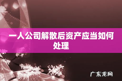 一人公司解散后资产应当如何处理