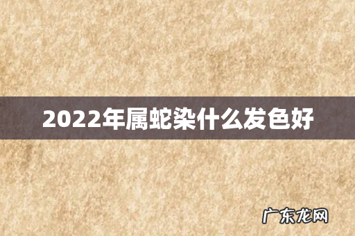 2022年属蛇染什么发色好