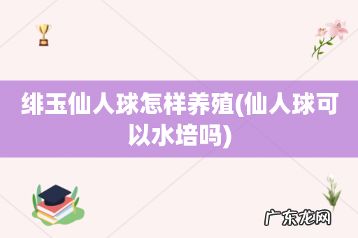 仙人球可以水培吗 绯玉仙人球怎样养殖