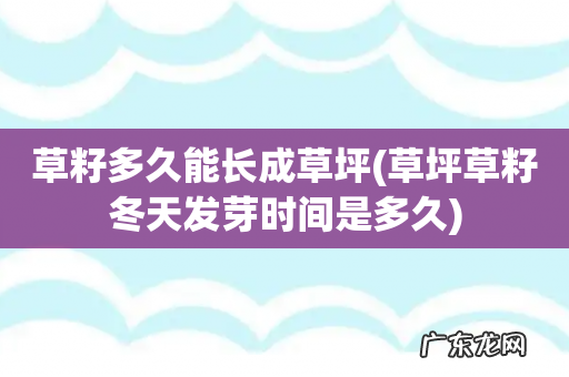 草坪草籽冬天发芽时间是多久 草籽多久能长成草坪