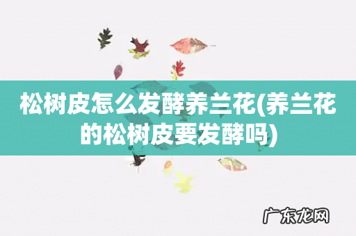 养兰花的松树皮要发酵吗 松树皮怎么发酵养兰花