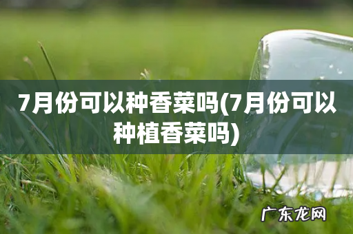 7月份可以种植香菜吗 7月份可以种香菜吗