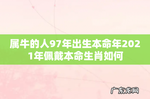 属牛的人97年出生本命年2021年佩戴本命生肖如何