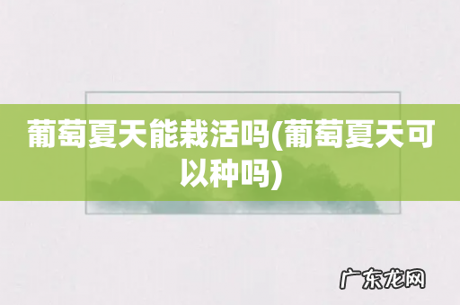 葡萄夏天可以种吗 葡萄夏天能栽活吗