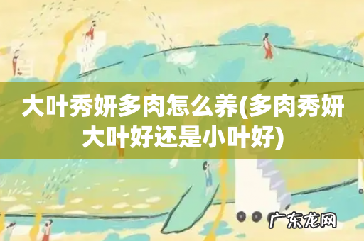 多肉秀妍大叶好还是小叶好 大叶秀妍多肉怎么养