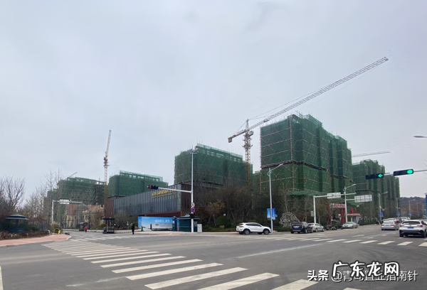 黄岛开发区看风水大师