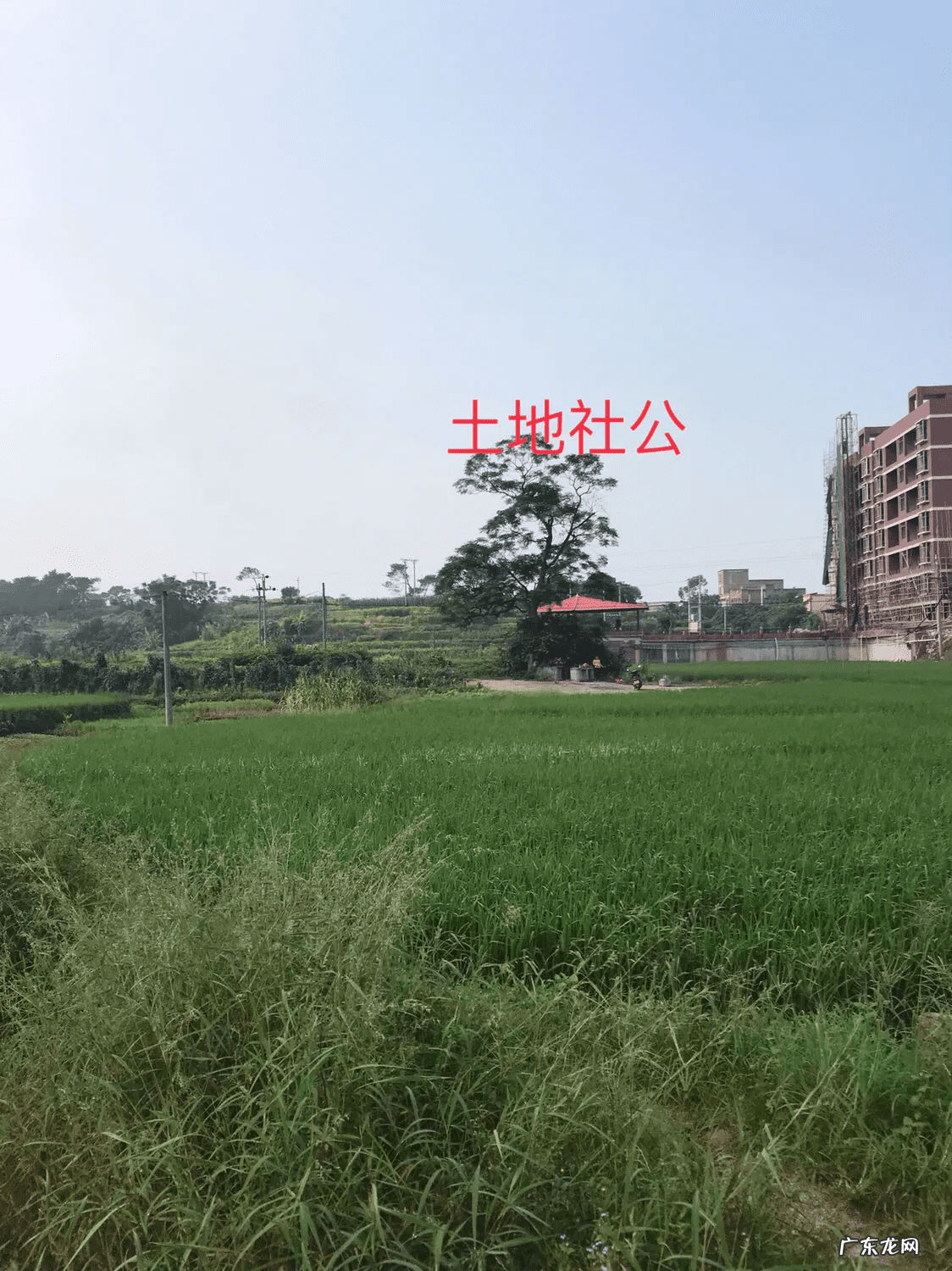 风水论坛哪个最权威 农村社坛风水