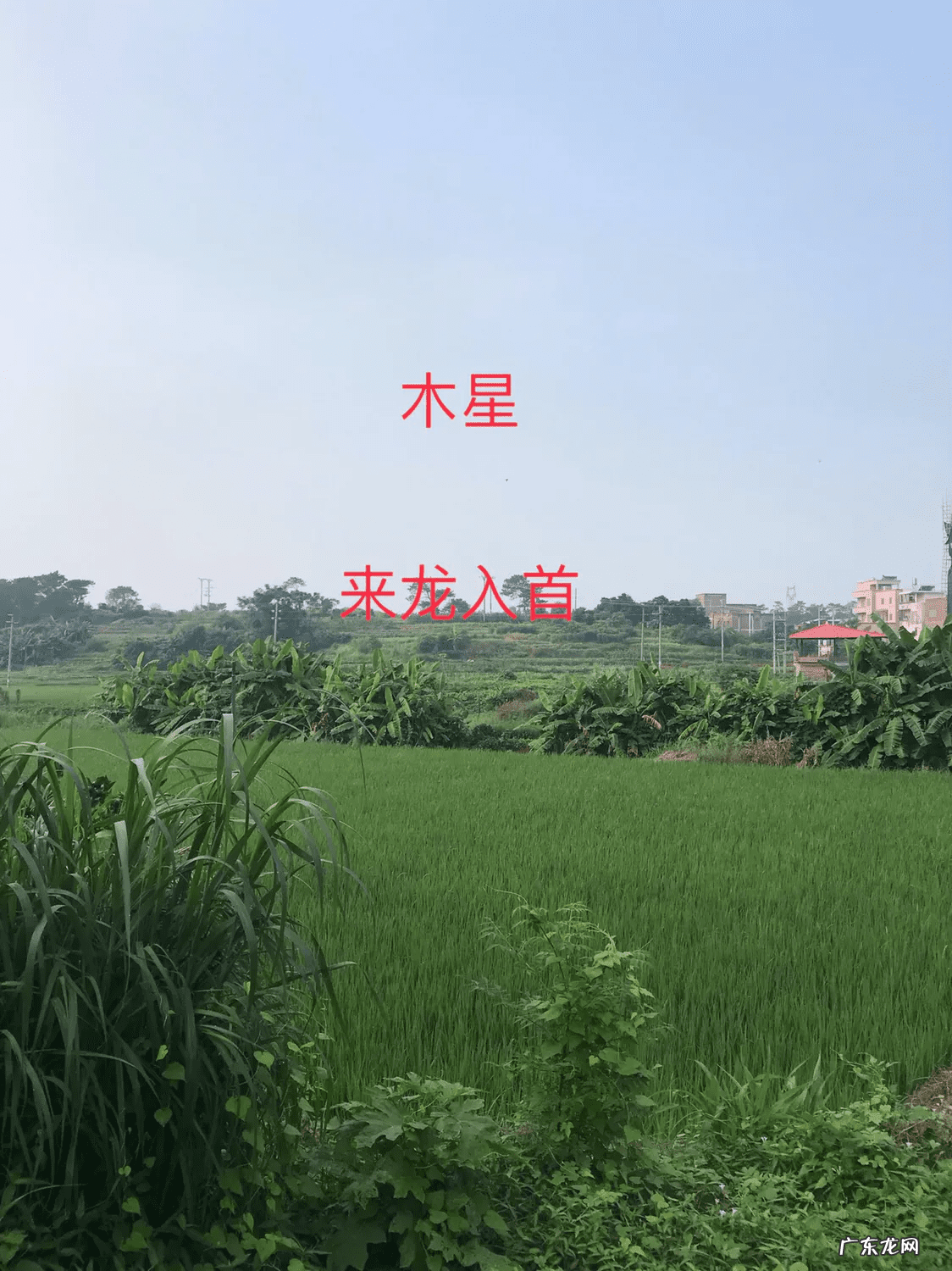 风水论坛哪个最权威 农村社坛风水