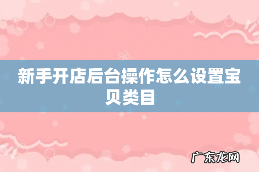 新手开店后台操作怎么设置宝贝类目