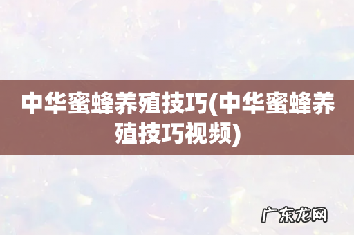 中华蜜蜂养殖技巧视频 中华蜜蜂养殖技巧