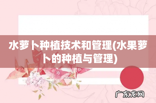 水果萝卜的种植与管理 水萝卜种植技术和管理