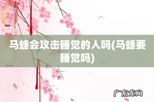 马蜂要睡觉吗 马蜂会攻击睡觉的人吗