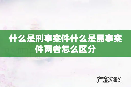 什么是刑事案件什么是民事案件两者怎么区分