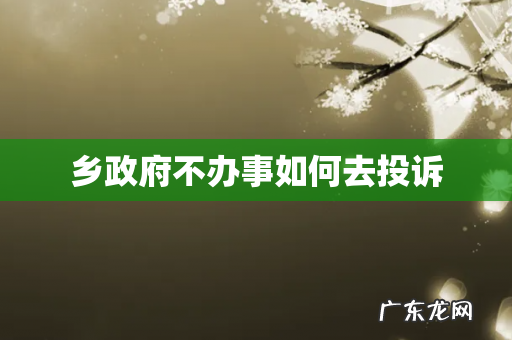 乡政府不办事如何去投诉