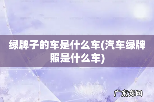 汽车绿牌照是什么车 绿牌子的车是什么车