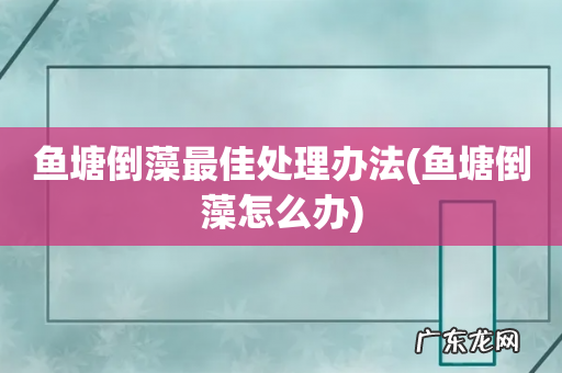 鱼塘倒藻怎么办 鱼塘倒藻最佳处理办法