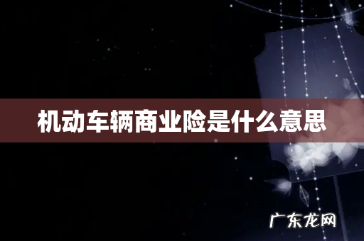 机动车辆商业险是什么意思