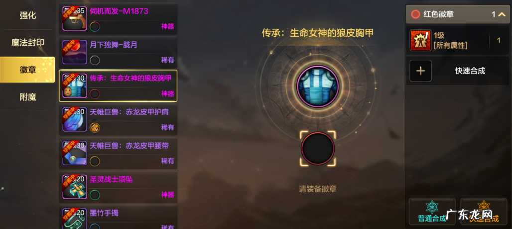 dnf徽章镶嵌栏颜色 dnf装备镶嵌徽章颜色