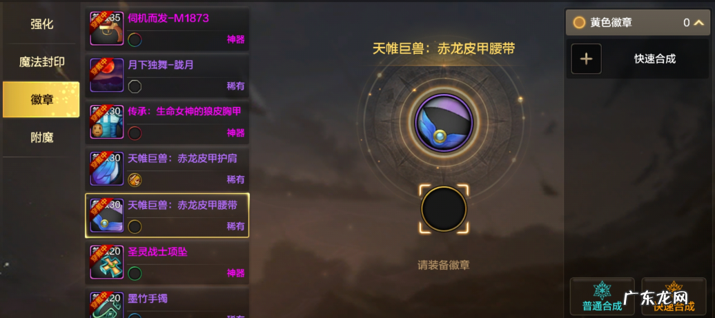 dnf徽章镶嵌栏颜色 dnf装备镶嵌徽章颜色