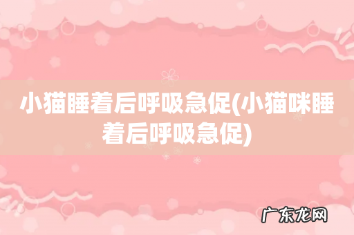 小猫咪睡着后呼吸急促 小猫睡着后呼吸急促