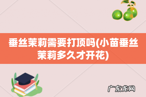 小苗垂丝茉莉多久才开花 垂丝茉莉需要打顶吗