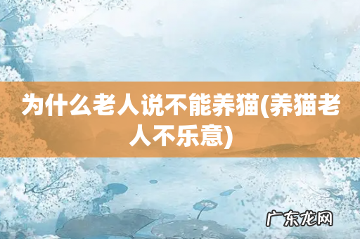 养猫老人不乐意 为什么老人说不能养猫