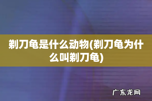 剃刀龟为什么叫剃刀龟 剃刀龟是什么动物