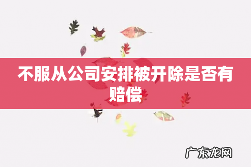 不服从公司安排被开除是否有赔偿